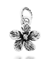 Charm Giovanni Raspini in Argento 12720